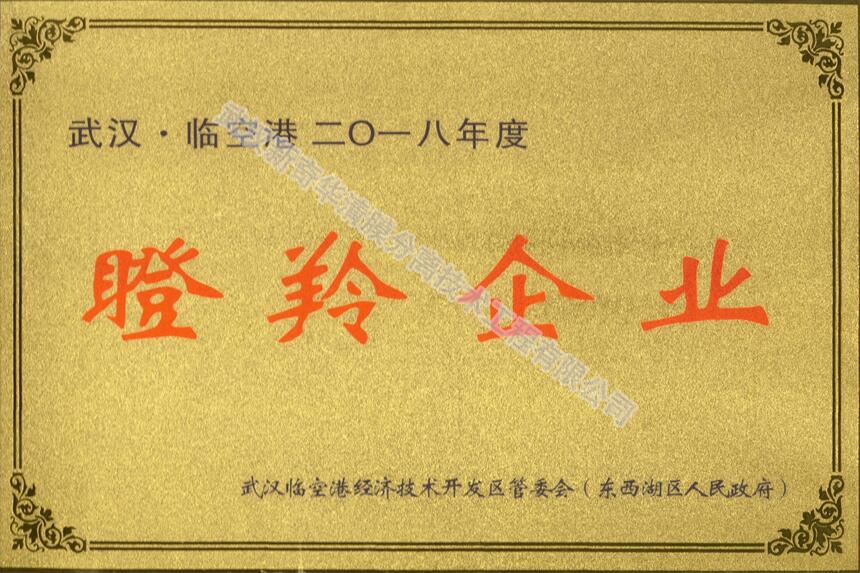 2018年，榮獲“瞪羚企業(yè)”稱號